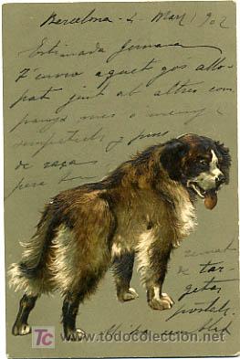 Postcards: POSTAL ILUSTRADA, PERROS Y PERRITOS,  CON RELIEVE    P12489