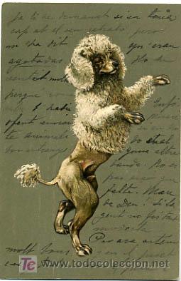 Postcards: POSTAL ILUSTRADA, PERROS Y PERRITOS, CON RELIEVE    P12493