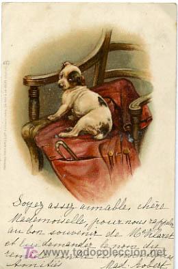 Postales: POSTAL ILUSTRADA, PERROS Y  PERRITOS    P12495 - Foto 1