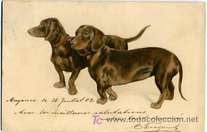 Postkarten: POSTAL ILUSTRADA, PERROS Y  PERRITOS    P12496