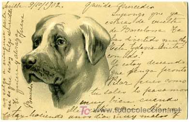 Postkarten: POSTAL ILUSTRADA, PERROS Y  PERRITOS, CON RELIEVE    P12497