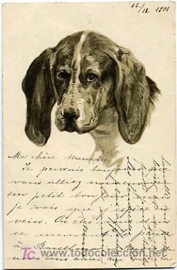 Postkarten: POSTAL ILUSTRADA, PERROS Y  PERRITOS, CON RELIEVE    P12498