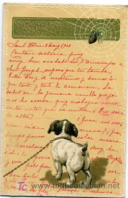 Postkarten: POSTAL ILUSTRADA, PERROS,  PERRITOS Y ARA&Ntilde;A,  CON RELIEVE    P12500