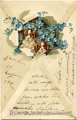 Postkarten: POSTAL ILUSTRADA, PERROS Y  PERRITOS, CON RELIEVE    P12503