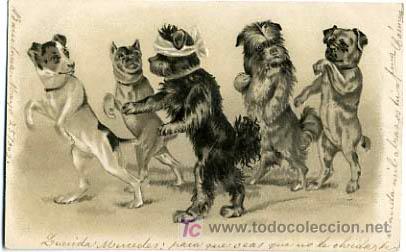 Postcards: POSTAL ILUSTRADA, PERROS Y  PERRITOS, CON RELIEVE    P12505