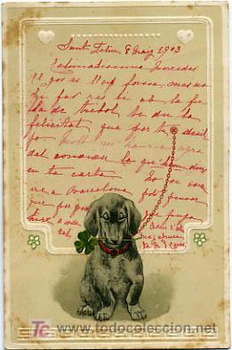 Postkarten: POSTAL ILUSTRADA, PERROS Y  PERRITOS, CON RELIEVE    P12508