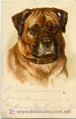 Postkarten: POSTAL ILUSTRADA, PERROS Y  PERRITOS    P12514