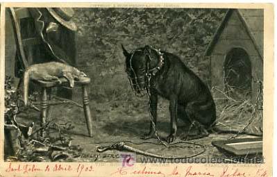 Postkarten: POSTAL ILUSTRADA, PERROS Y  PERRITOS, GATOS Y GATITOS     P12522