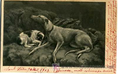 Postkarten: POSTAL ILUSTRADA, PERROS Y  PERRITOS    P12523