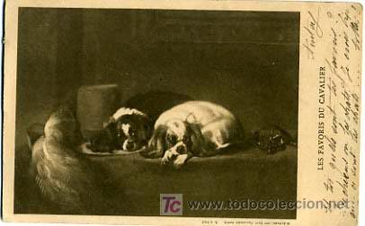 Postkarten: POSTAL ILUSTRADA, PERROS Y  PERRITOS    P12531