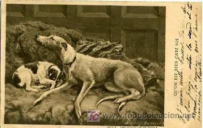 Postkarten: POSTAL ILUSTRADA, PERROS Y  PERRITOS    P12532