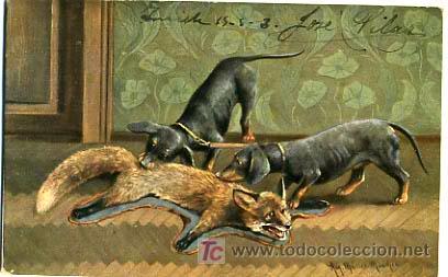 Postcards: POSTAL ILUSTRADA, PERROS Y PERRITOS, ZORROS Y ZORRITOS    P12586