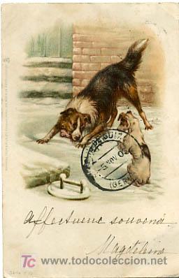 Postcards: POSTAL ILUSTRADA,  PERROS Y PERRITOS          P12661