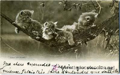 Postcards: POSTAL ILUSTRADA,   GATOS Y GATITOS,         P12664
