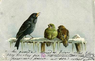 Postcards: POSTAL ILUSTRADA, PAJAROS, PAJARITOS P12709