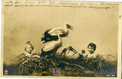 Postcards: POSTAL ILUSTRADA, CIG&Uuml;E&Ntilde;AS, CIG&Uuml;E&Ntilde;ITAS Y NI&Ntilde;OS     P12723