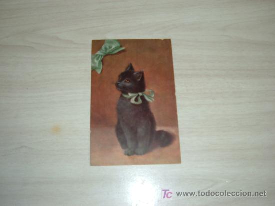 Postais: POSTAL DE GATO NEGRO,PRINTED IN GERMANY