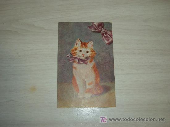 Cartes Postales: POSTAL GATITO,PRINTED IN GERMANY