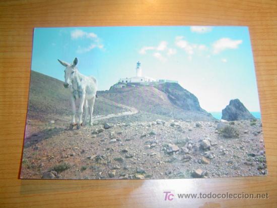Postcards: POSTAL ESPA&Ntilde;A PAISAJE TIPICO
