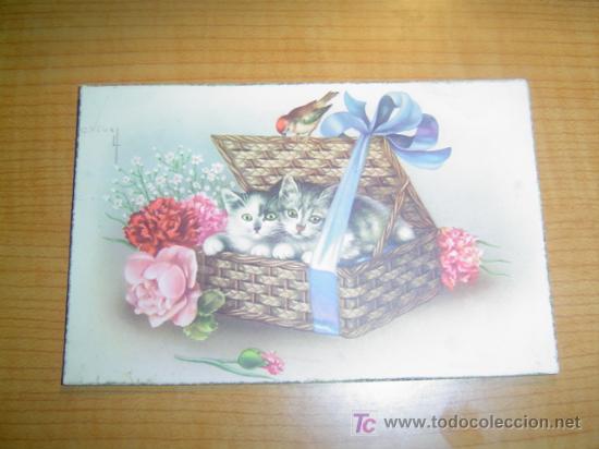 Postcards: POSTAL GATITOS EN CAJA DE REGALOS CIRCULADA