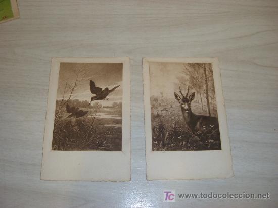 Postcards: lote 2 postales