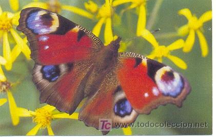 Postkarten: 7-2ay101. Postal Mariposa