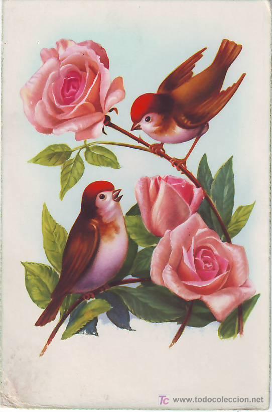 Postcards: PTL Postal antigua con pajaros y rosas