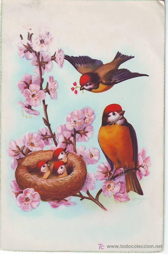 Postcards: PTL Postal antigua con pajaros y flores