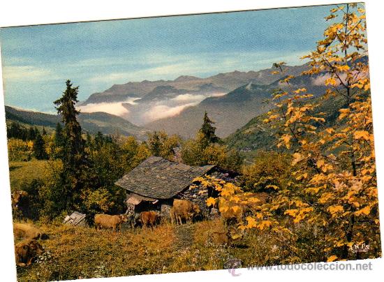 Postkarten: PASTOREO DE VACAS - p&acirc;turage -