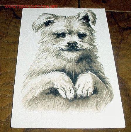 Postcards: ANTIGUA POSTAL RUSA - SE TRATA DE UNA ILUSTRACION EN RELIEVE DE UN PERRO  -  EN EL REVERSO INDICA LO
