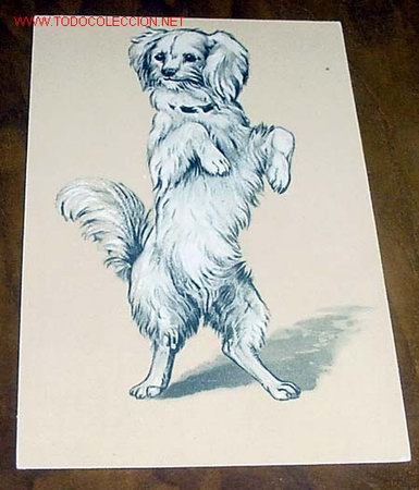 Postais: ANTIGUA POSTAL DE UN PERRITO - EN RELIEVE - SIN CIRCULAR