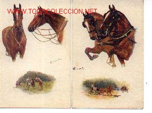 Postales: 7-cab2. Lote de 2 Postales coloreadas de Caballos - Foto 1