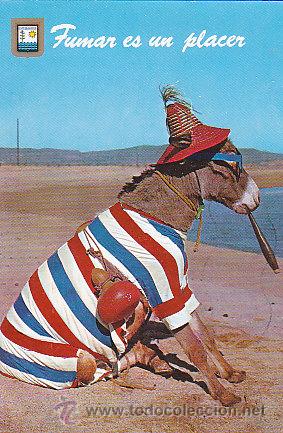 Postales: burro, pienso luego existo - Foto 1