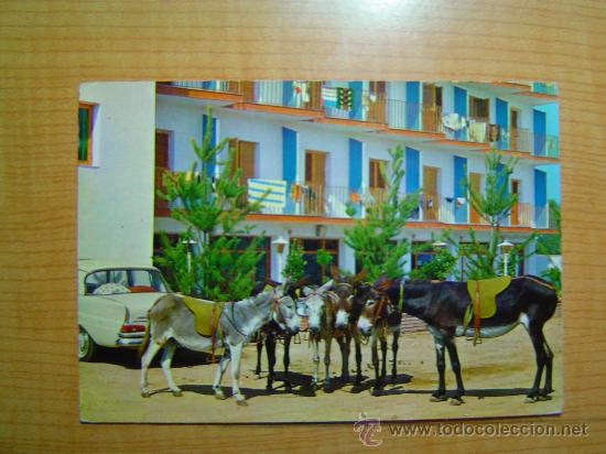 Postcards: POSTAL ESPA&Ntilde;A BURRITOS DE MONTA SIN CIRCULAR