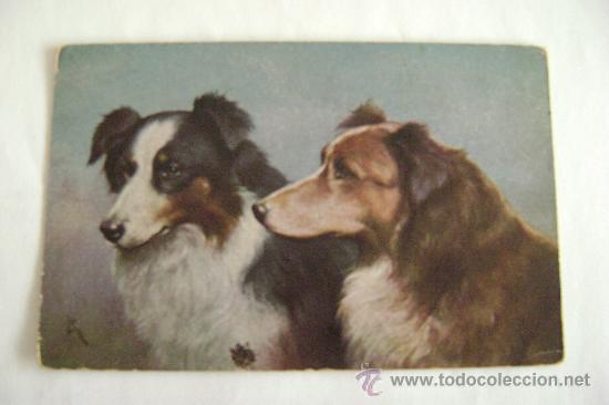 Postcards: pareja de perros     21001