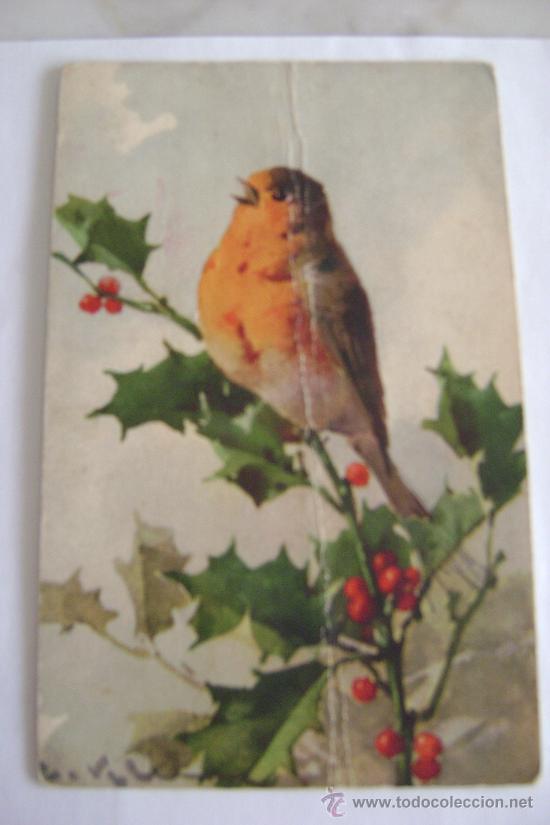 Cartes Postales: pajaro    21003