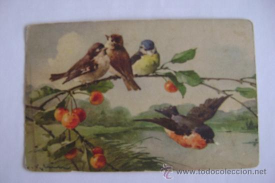 Cartes Postales: PAJAROS     21006