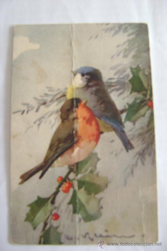 Postais: DOS PAJAROS     21008