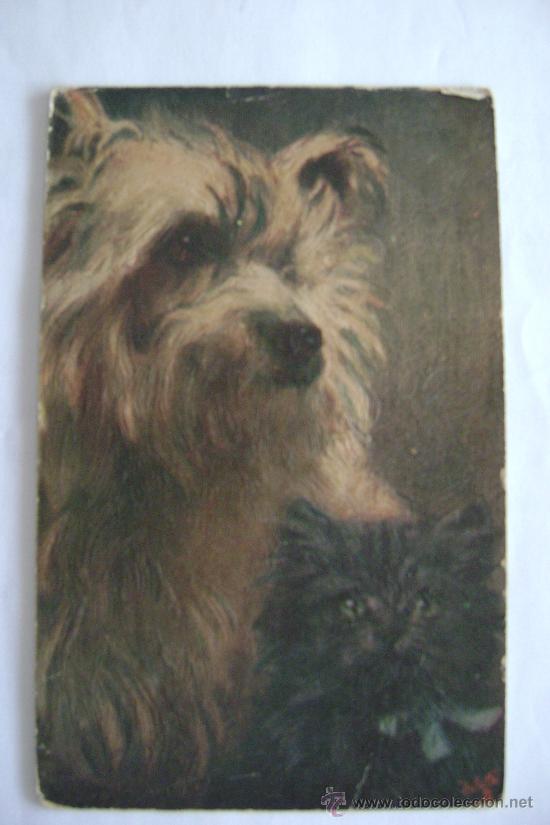 Postales: PERRITO      21009 - Foto 1