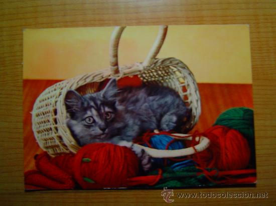 Postais: POSTAL GATO  CIRCULADA