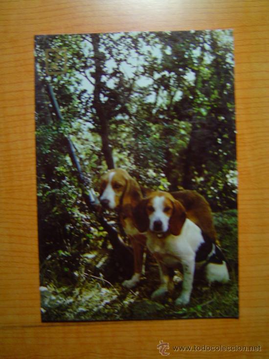 Postais: POSTAL PERROS SIN CIRCULAR