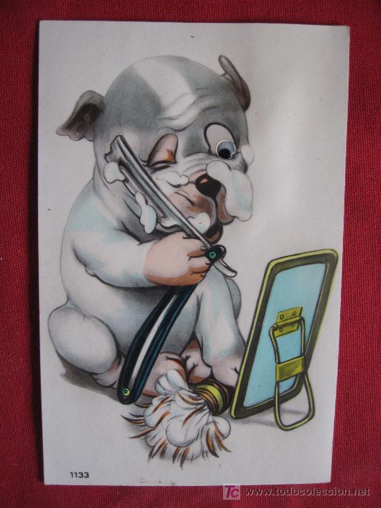 Postais: EL PERRO AFEITANDOSE