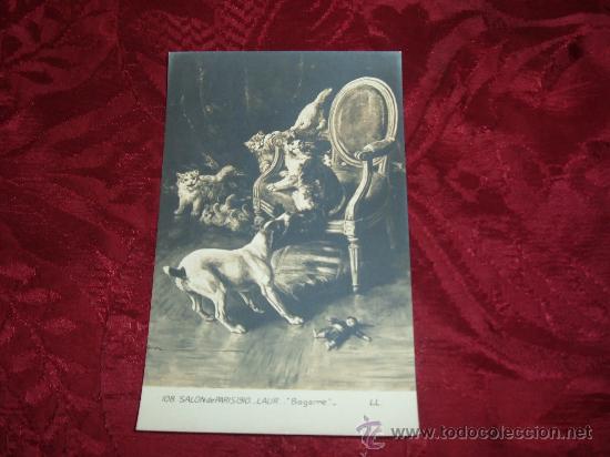 Cartes Postales: salon de paris 1910,laur bagarre