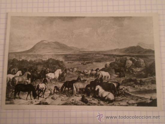 Postales: Postal - Foto 1