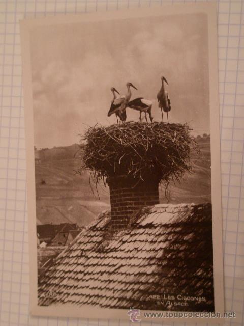 Postales: Postal - Foto 1