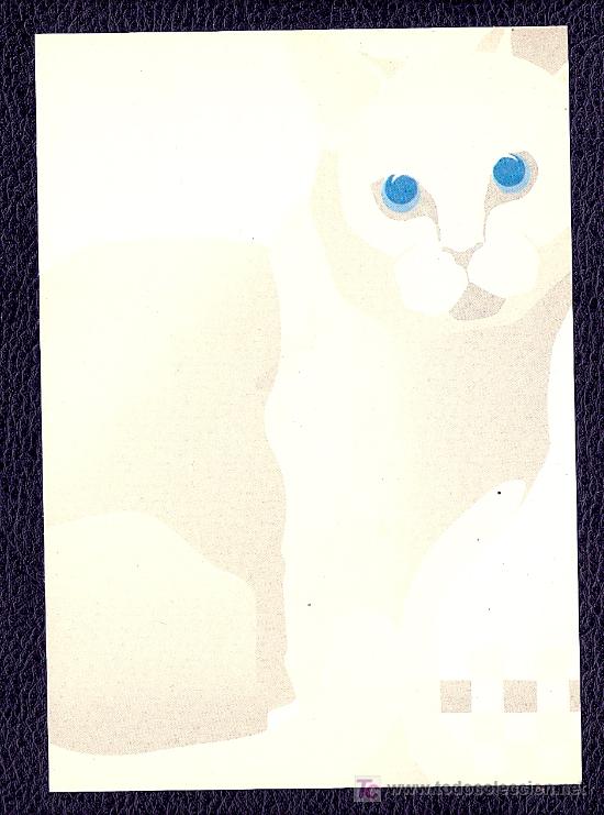 Cartes Postales: POSTAL DIBUJO GATO