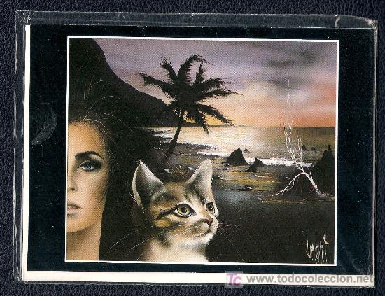 Cartes Postales: POSTAL DIBUJO GATO