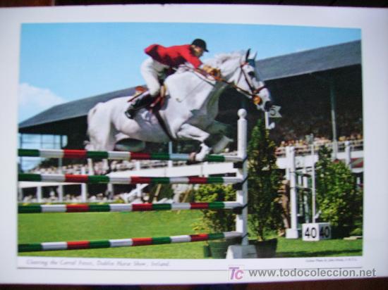 Postkarten: dublin horse show