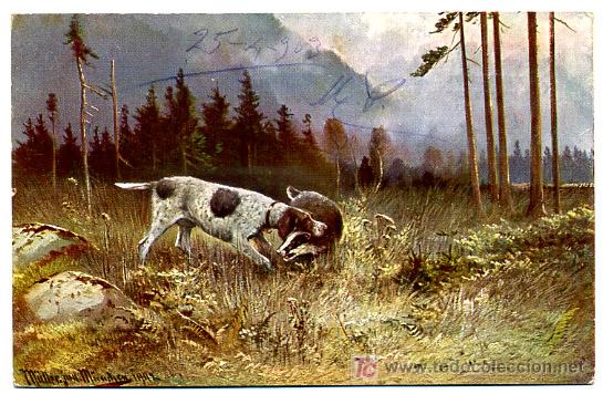 Cartes Postales: PERROS, PERRITOS,      P23141