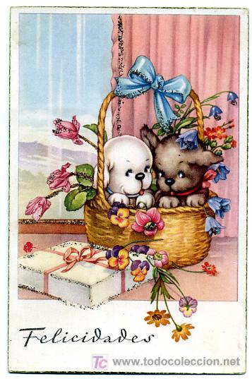 Cartes Postales: PERROS, PERRITOS,      P23142